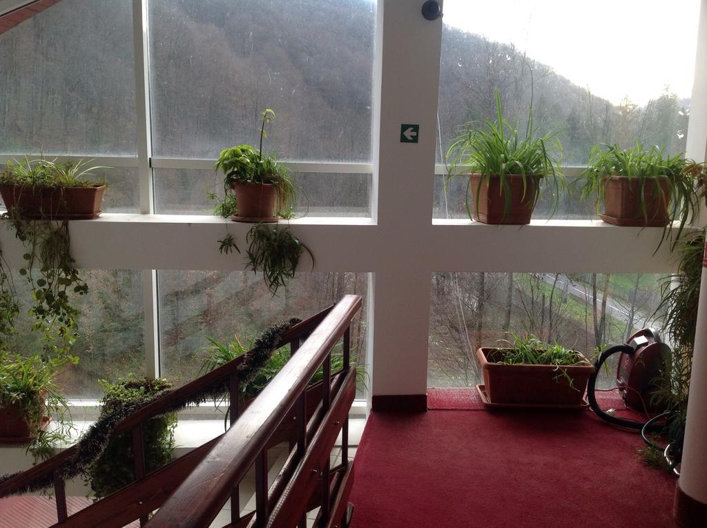 Hotel Panoramic Moneasa Δωμάτιο φωτογραφία