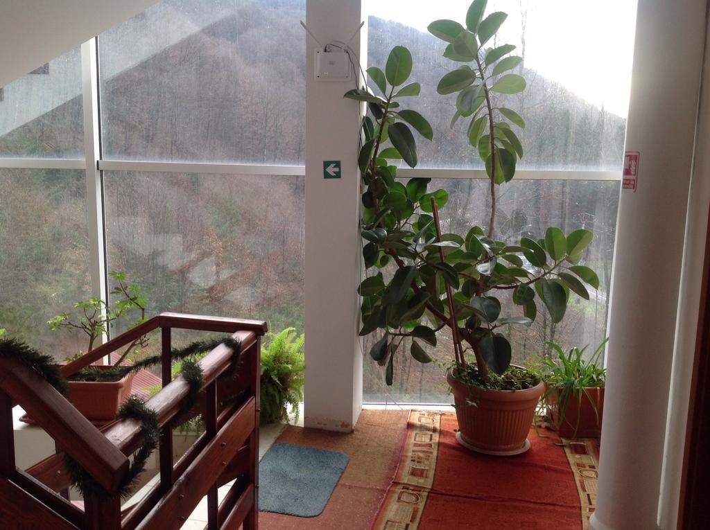 Hotel Panoramic Moneasa Δωμάτιο φωτογραφία